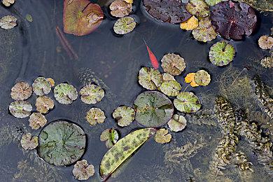 《黑神话：悟空》IGN中国10分 路在脚下